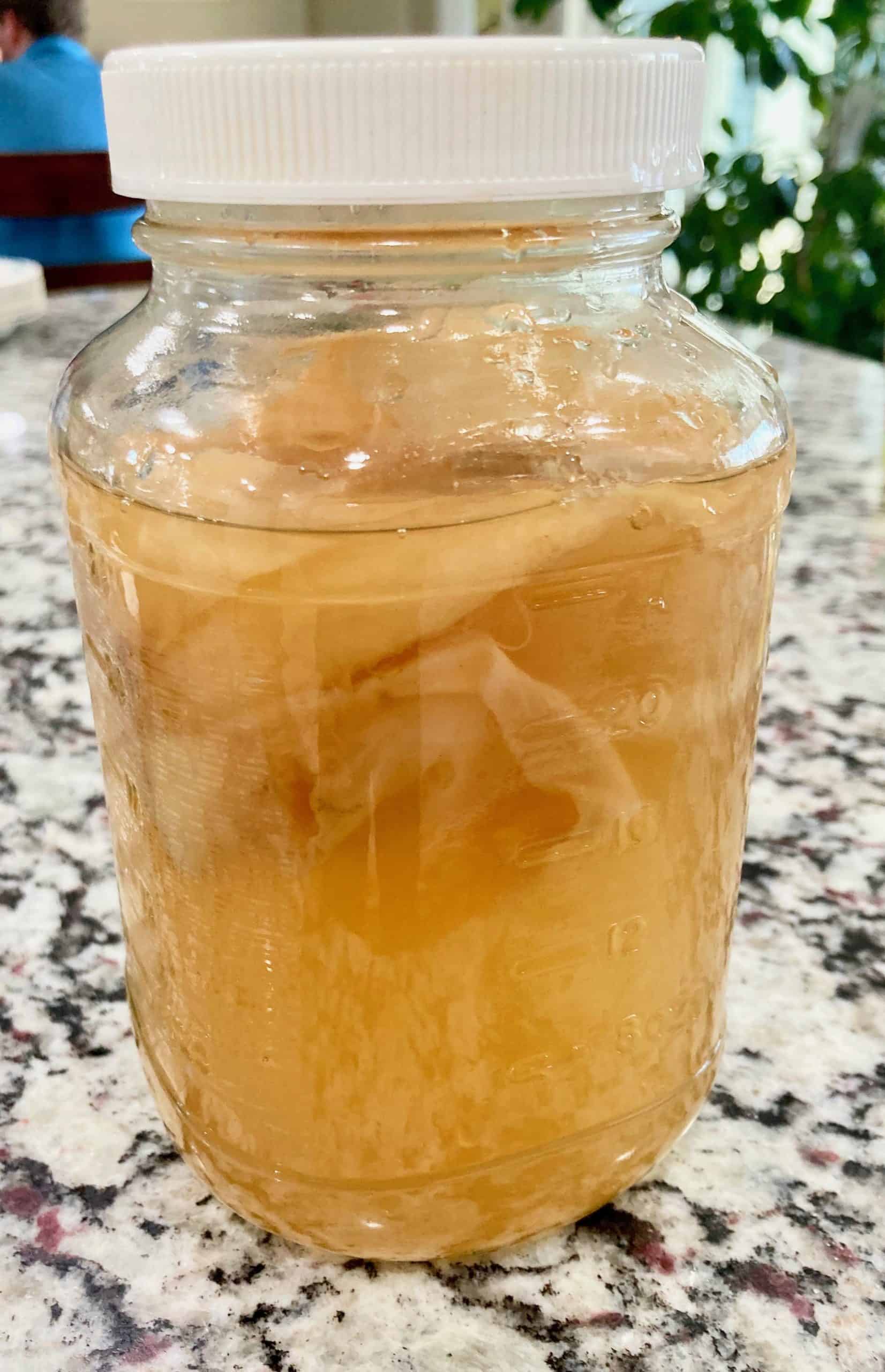 Black Tea Kombucha Life On Knoll 22
