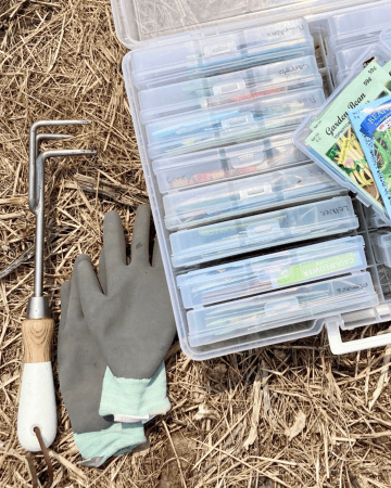 best seed storage containers in the garden with tools and gloves
